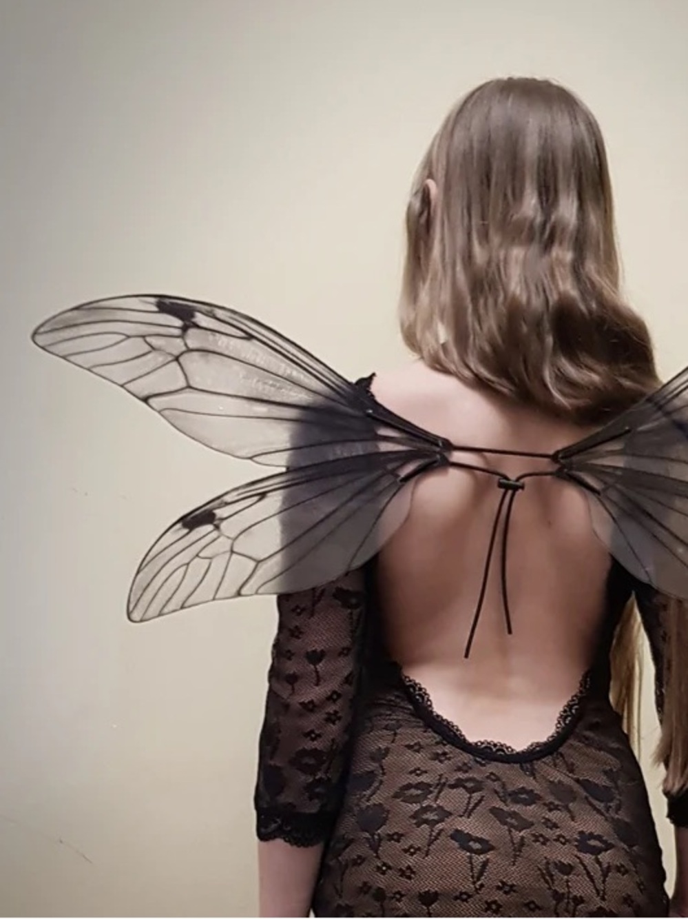 black fairy wings